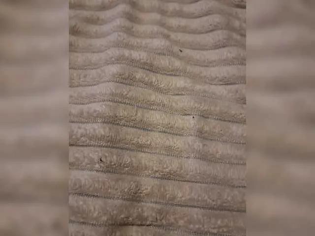 Freechat Cat-Bars69 on BongaCams