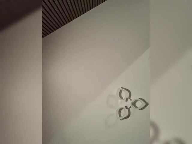 Offline FeeBee on BongaCams