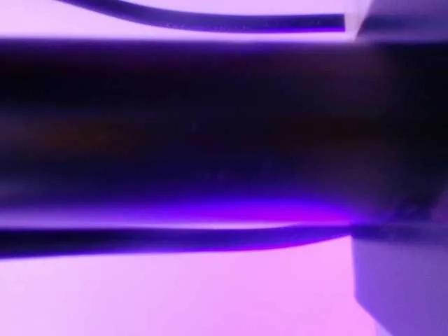 Offline gabry-leone on BongaCams