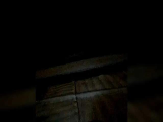 Freechat Iriska2025 on BongaCams