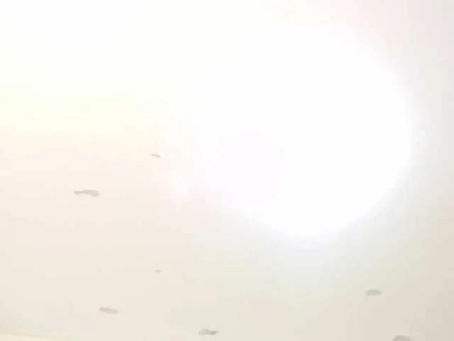 Freechat JimmyPamela on BongaCams