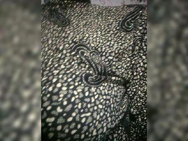 Offline Olik-Pisa on BongaCams