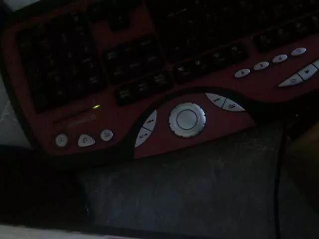 Offline Zina2323 on BongaCams