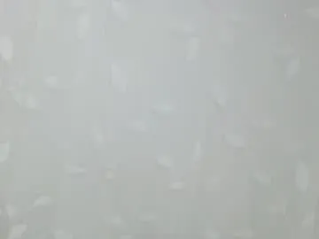 amber__muse model from cb