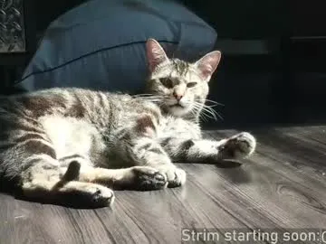 booker_baxton on Chaturbate
