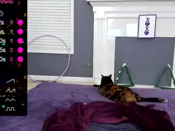 tinyvixxen on Chaturbate