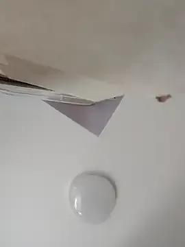 Freechat _AnMiss_ on StripChat