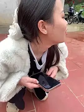 baeas-lan model from sc