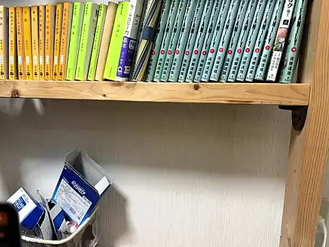 BROsister on StripChat