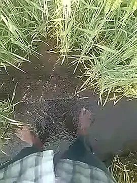 Desi_boy_fuck's avatar