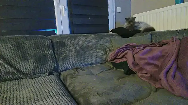 Girlysensuelle — 5 doigts chatte