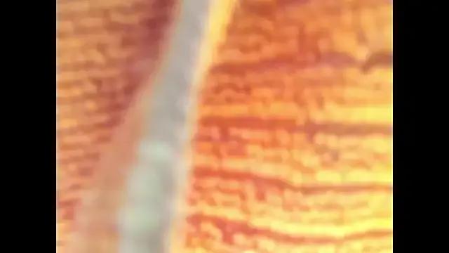 StripChat Goddes_any is Freechat Goddes_any — we both danced