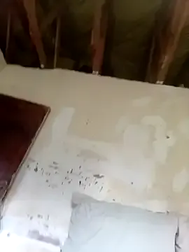 Hittwobird_withonestone's avatar