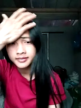 Hoa-tuylip — Hy gip ti