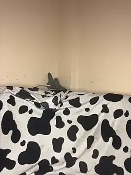 HOT17_FOXXX's avatar