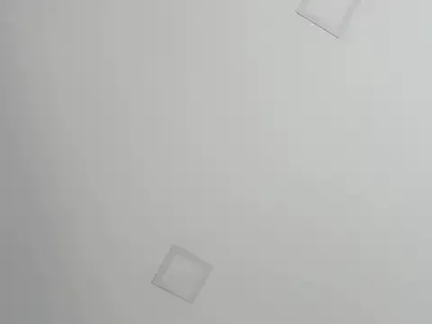 kylie1_ls model from sc