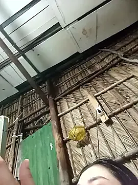 Lin-kute98 on StripChat