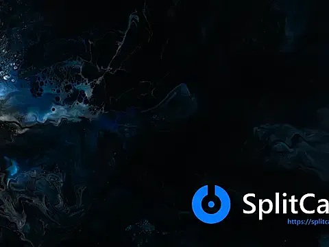 Longniplzerx40 on StripChat