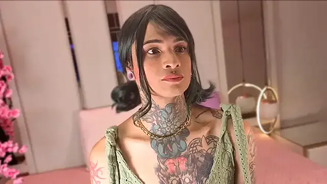 Misakiseis1 model from sc