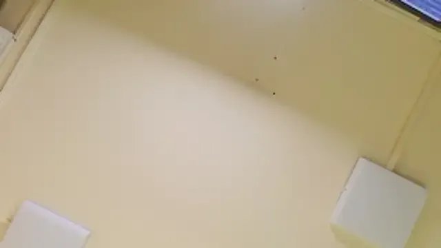 paulina_cano on StripChat