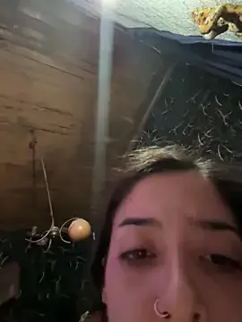 ricausuvave model from sc