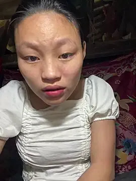 Shin-kin model from sc