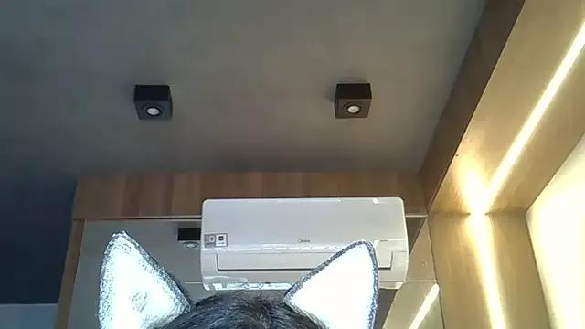 StripChat SkinnyKitten is Freechat SkinnyKitten — stand uplevantar