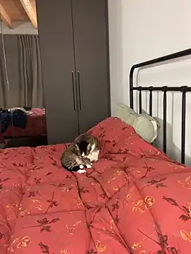 YourSlutQueen on StripChat