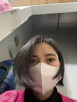 Zinsetka model from sc